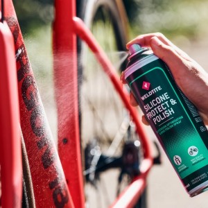 NETEJADOR PROTECT&POLISH...